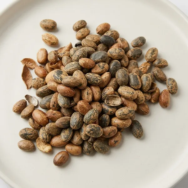 Vinarghya_-_Jamalgota/_Croton_Tiglium/_Jayaphala/_Jamalghota/_Nepala/_Nervalam/_Purging_Croton/_Japalbij/_Japolota/_Narchalam/_Nepalamu/_जमालगोटा_-_50G