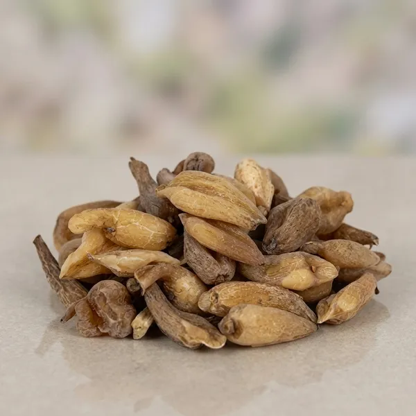 Vinarghya_–_Suranjan_Mithi/_Suranjaan_Sweet/_Colchicum_Luteum/_Hiranyatuttha/_Suranjan_Shirin/_Hermodactyls/_Meadow_Saffron/_मीठी_सुरांजन_–_100G