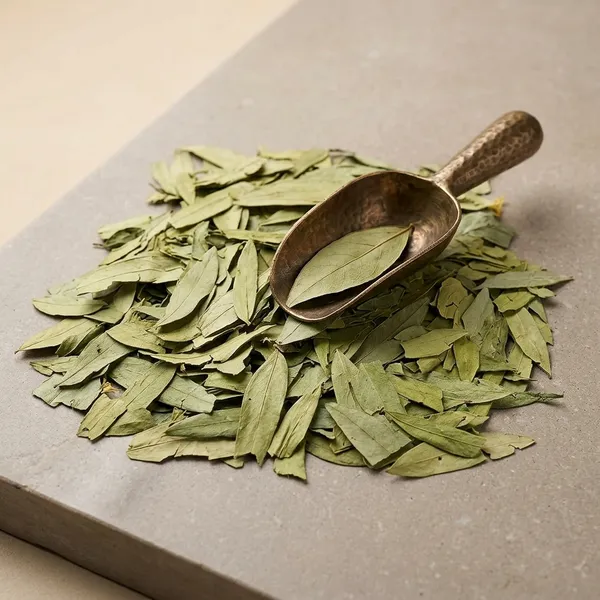 Vinarghya_-_Organic_Gunja_Patti_Dried/_Abrus_Precatorius_Leaves/_Gumachi_Parn/_Chirmi_Patta/_Gurinvida/_Ratti_Pan_/_गूंज_पत्ती_-_100G