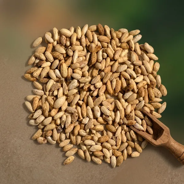 Vinarghya_-_Neem_Beej/_Azadirachta_Indica_Seed/_Vepa_Ginialu/_Nimboli_Dried_Herb/_Nim_Ke_Bij_-_400G