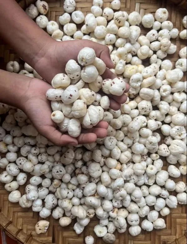 Phool_Makhana_Foxnuts