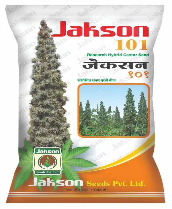 Jakson_101_Research_Hybrid_Castor_Seed