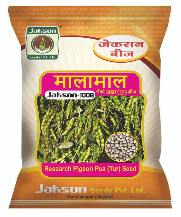 Jakson_1008_Research_Pigeon_Pea_Tur_Seed