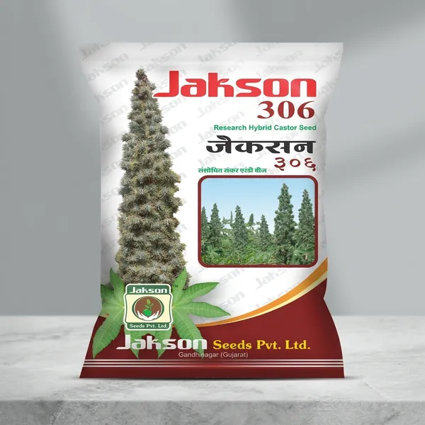 Jakson_306_Research_Hybrid_Castor_Seed
