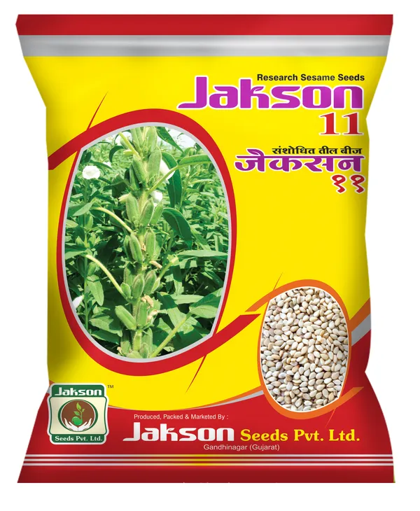 Jakson_11_Research_Sesame_Seeds