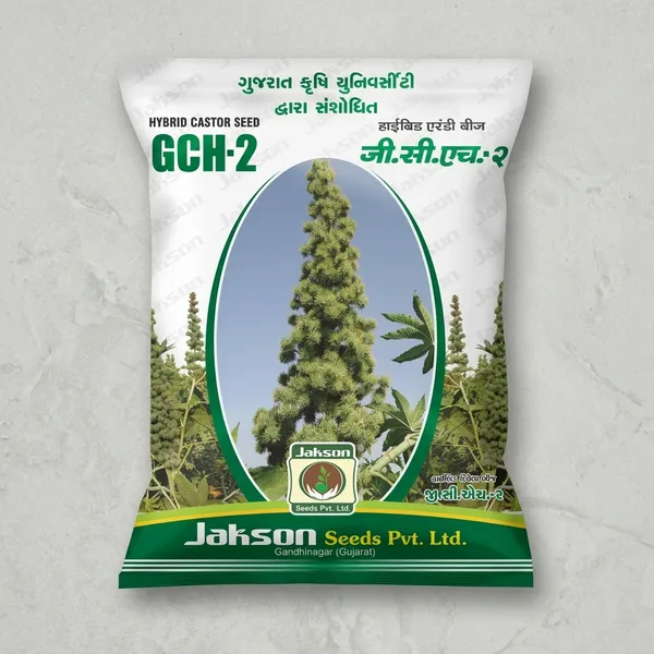 Gch-2_Hybrid_Castor_Seed_By_Jakson_Seeds