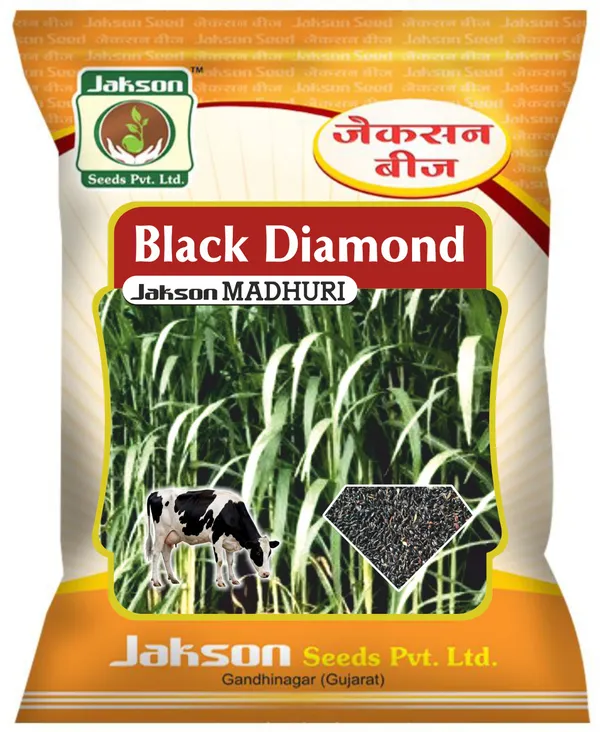 Black_Diamond_Madhuri_Grass_pack