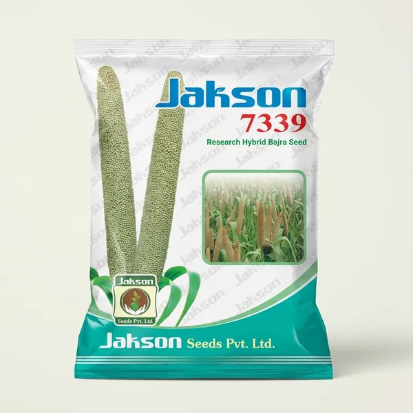Jakson_7339_Research_Hybrid_Bajra_Seed