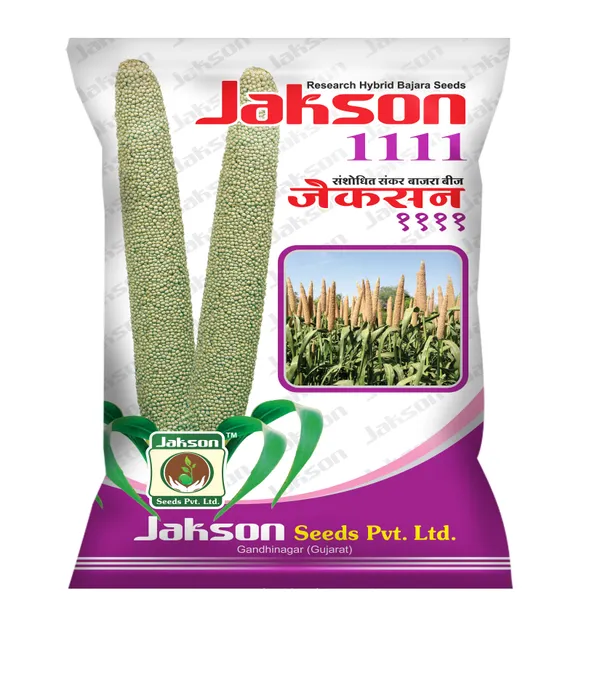 Jakson_1111_Research_Hybrid_Bajra_Seeds