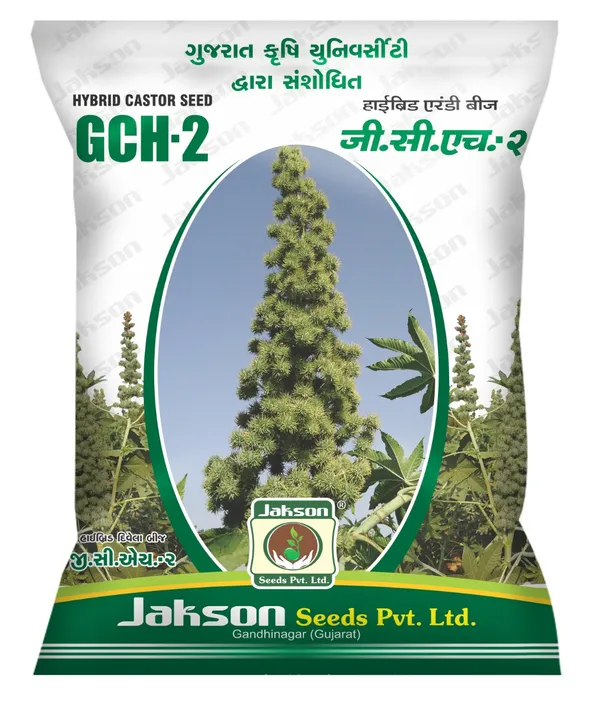 Gch-2_Hybrid_Castor_Seed_By_Jakson_Seeds