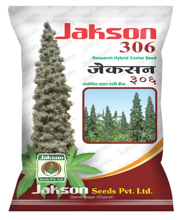 Jakson_306_Research_Hybrid_Castor_Seed