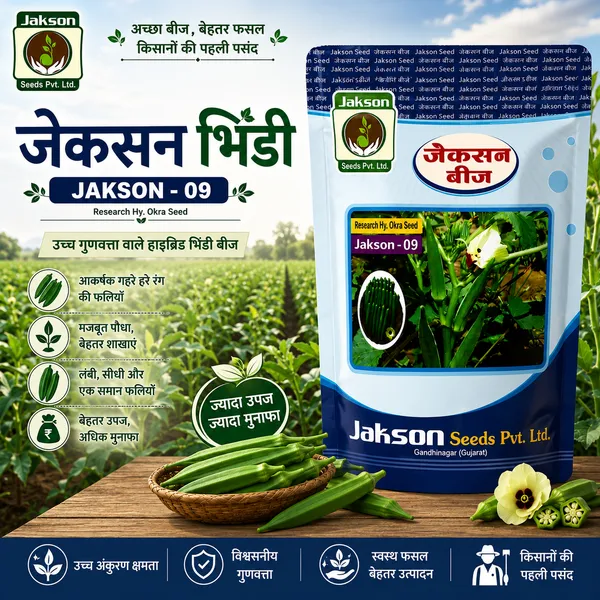 Hybrid_bhendi_Seeds_JAKSON