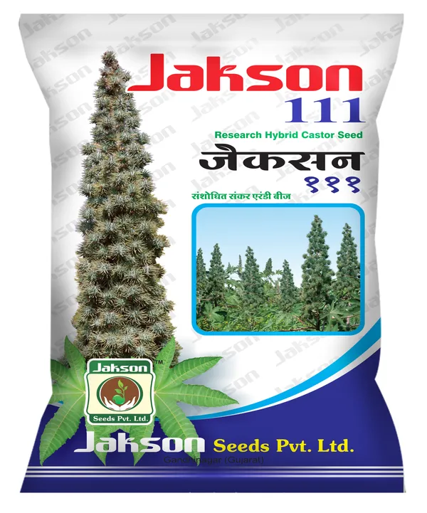 Jakson_111_Research_Hybrid_Castor_Seeds_For_Agriculture