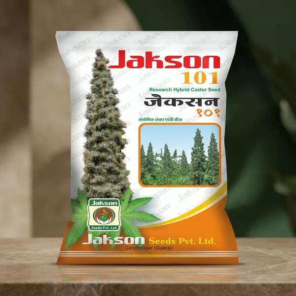 Jakson_101_Research_Hybrid_Castor_Seed