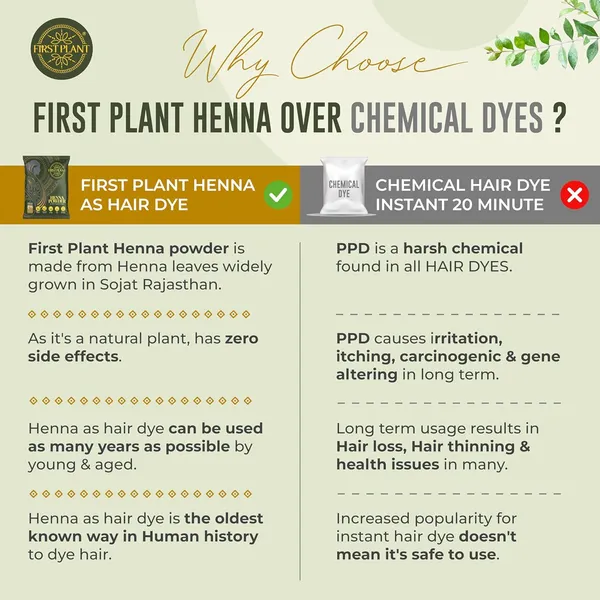 Premium_Rajasthani_Henna_Powder_100_Organic_Henna_Powder_For_Hair_Color_And_Hair_Care_I_Gi_Tagged_Henna_Directly_From_Farms