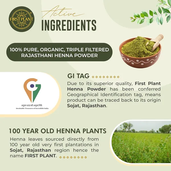 Premium_Rajasthani_Henna_Powder_100_Organic_Henna_Powder_For_Hair_Color_And_Hair_Care_I_Gi_Tagged_Henna_Directly_From_Farms