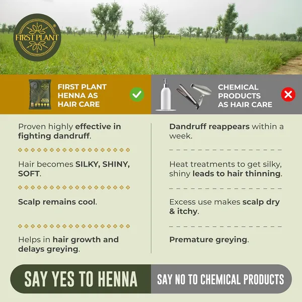 Premium_Rajasthani_Henna_Powder_100_Organic_Henna_Powder_For_Hair_Color_And_Hair_Care_I_Gi_Tagged_Henna_Directly_From_Farms