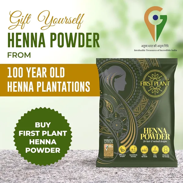Premium_Rajasthani_Henna_Powder_100_Organic_Henna_With_Gi_Tag_For_Hair_Color_And_Hair_Care