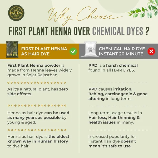 Premium_Rajasthani_Henna_Powder_100_Organic_Henna_With_Gi_Tag_For_Hair_Color_And_Hair_Care