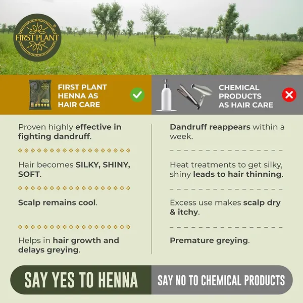 Premium_Rajasthani_Henna_Powder_100_Organic_Henna_With_Gi_Tag_For_Hair_Color_And_Hair_Care