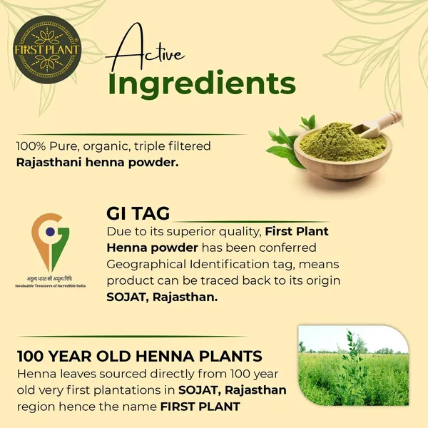 Premium_Rajasthani_Henna_Powder_100_Organic_Henna_Powder_For_Hair_Colour_And_Hair_Care_I_Gi_Tagged_Henna_Directly_From_Farms_350_Gm