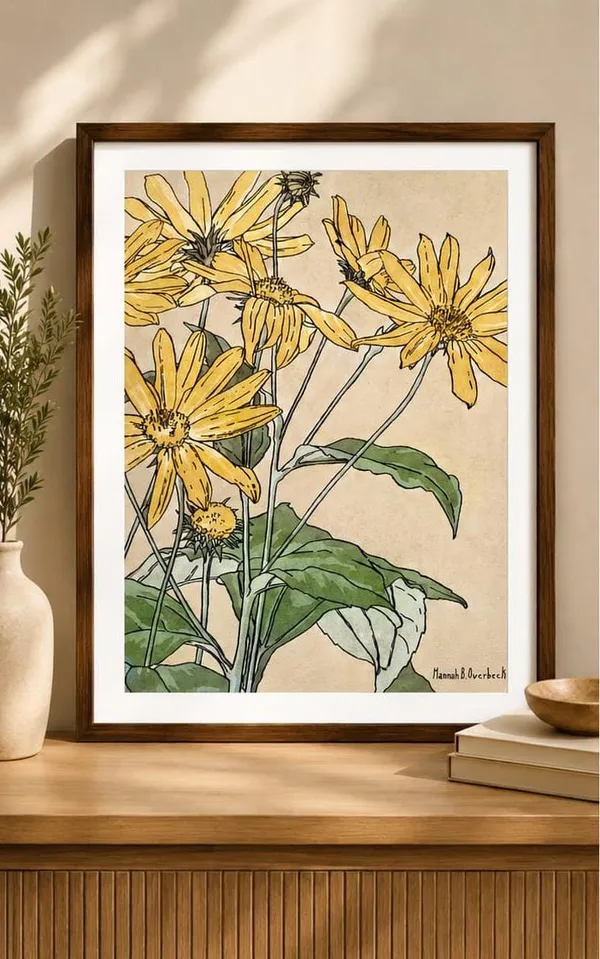 Yellow_Wildflower_Botanical_Print_laminated_frame