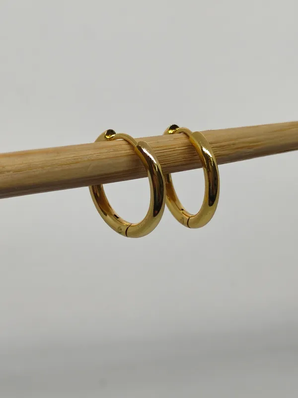 Gold_Plated_Stainless_Steel_Hoop_Earrings_for_Women