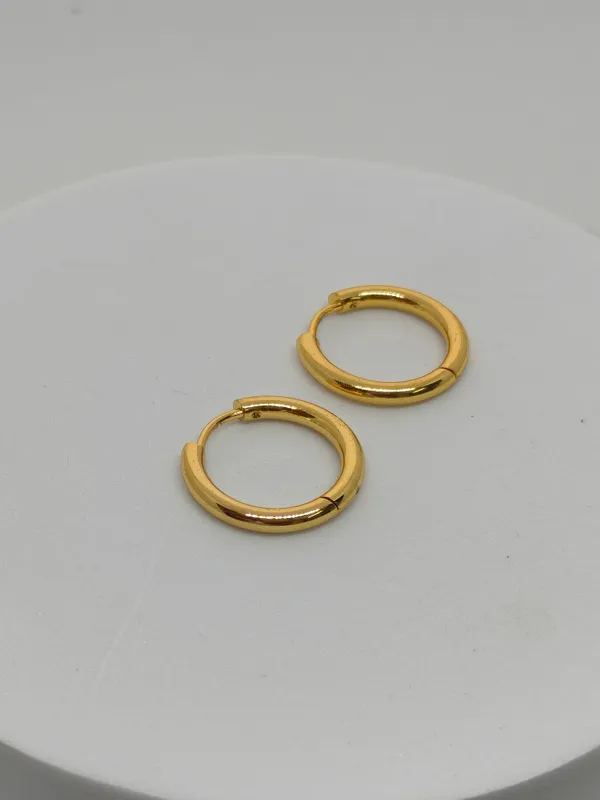 Gold_Plated_Stainless_Steel_Hoop_Earrings