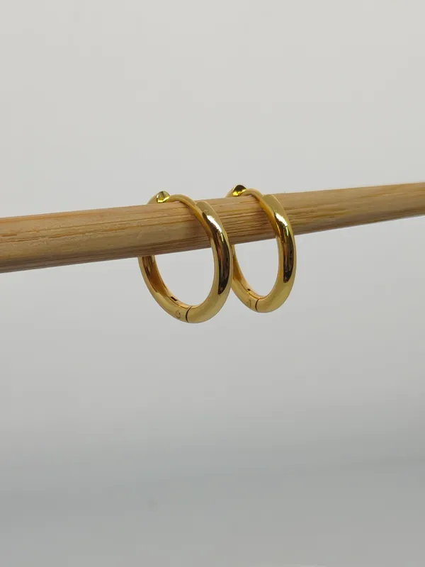 Gold_Plated_Stainless_Steel_Hoop_Earrings_for_Women