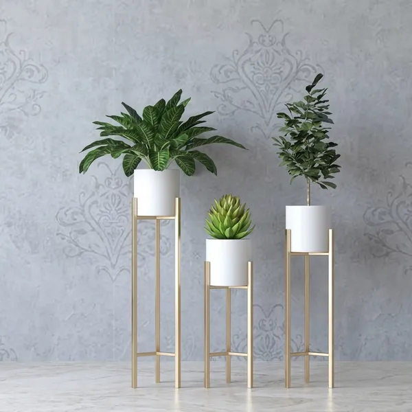 Gold_Metal_Plant_Stand_For_Kitchen_Pack_Of_3