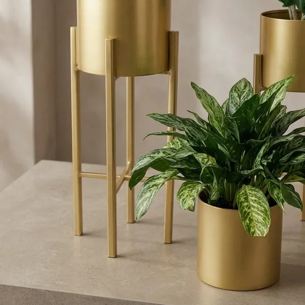 Gold_Metal_Plant_Stand_For_Home_Decor_Pack_Of_4
