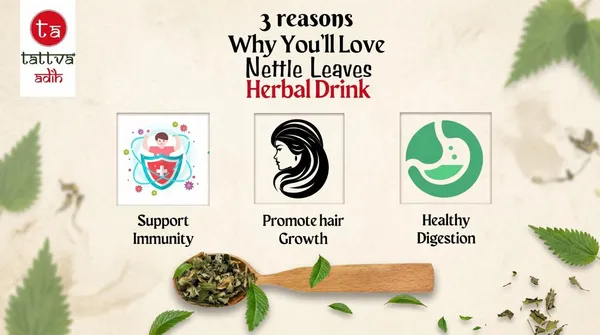 Tattva_Adih_Himalayan_Stinging_Herbal_Nettle_Leaf_Infusion_|_50_Grams,_30+_Cups_I_Brain_Health,_Hair_Growth_&_Digestion_|_Caffeine-Free_Nettle_Leaves_In_Airtight_Tin_Pack_Of_2