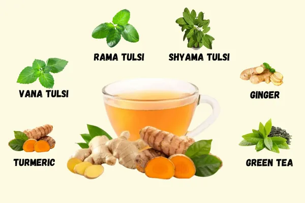 Tattva_Adih_Ginger_Tulsi_Turmeric_Green_Tea_100G_60+_Cups_|_For_Immunity_Boosting,_Digestion_And_Sore_Throat_|_100%_Whole_Leaf_Green_Tea_(100_Grams_(Air_Tight_Container))