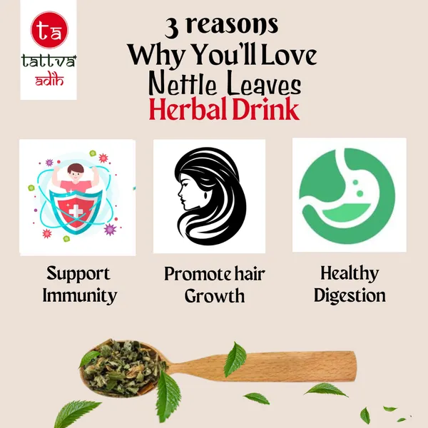 Tattva_Adih_Himalayan_Stinging_Nettle_Leaf_Herbal_Infusion,_50Gm_Pouch,_30+_Cups,_Anti-Inflammatory,_Caffeine-Free_Dried_Loose_Leaf,_Supports_Immunity,_Natural_Ingredients_Soothing_Hot_Drink,_Single_Ingridient_Pack_Of_2
