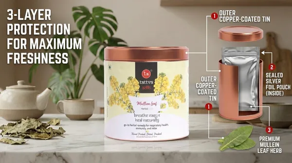 Tattva_Adih_Mullein_Leaf_Herbal_Infusion_�_50G_30+_Cups_|_Super_Antioxidant_|_Natural_Herbal_Drink_For_Lung_Detox,_Cough_Relief_&_Respiratory_Health_|_Caffeine-Free_|_Natural_Loose_Leaves_In_Airtght_Tin_(50_G,_Mullein_Leaf)