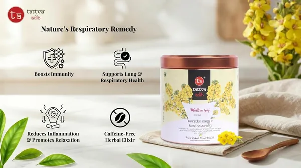 Tattva_Adih_Mullein_Leaf_Herbal_Infusion_�_50G_30+_Cups_|_Super_Antioxidant_|_Natural_Herbal_Drink_For_Lung_Detox,_Cough_Relief_&_Respiratory_Health_|_Caffeine-Free_|_Natural_Loose_Leaves_In_Airtght_Tin_(50_G,_Mullein_Leaf)