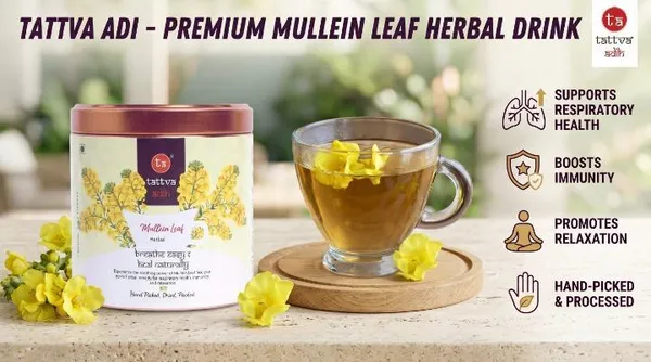 Tattva_Adih_Mullein_Leaf_Herbal_Infusion_�_50G_30+_Cups_|_Super_Antioxidant_|_Natural_Herbal_Drink_For_Lung_Detox,_Cough_Relief_&_Respiratory_Health_|_Caffeine-Free_|_Natural_Loose_Leaves_In_Airtght_Tin_(50_G,_Mullein_Leaf)