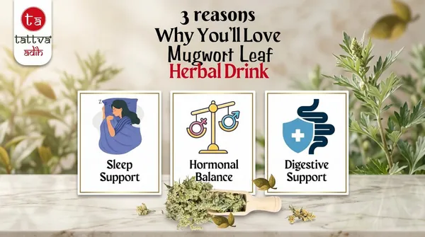 Tattva_Adih_Mugwort_Leaf_Herbal_Infusion_50G_30+_Cups_|_Supports_Energy,_Digestion,_Brain_Health_&_Hair_Wellness_|_Caffeine-Free_|_Soothing_Herbal_Leaves_In_Airtight_Tin_(50_G,_Mugwort_Leaf_Drink)