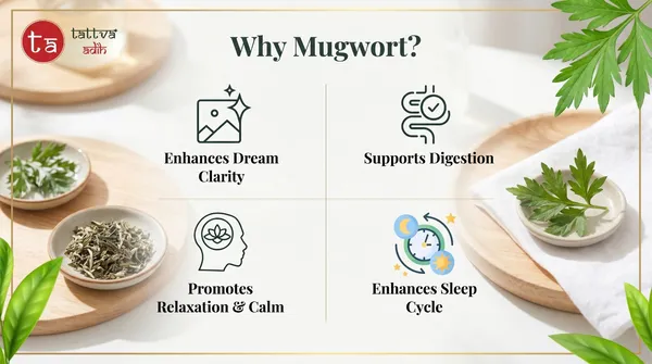 Tattva_Adih_Mugwort_Leaf_Natural_Herbal_Infusion_100G_60+_Cups_|_Supports_Energy,_Digestion,_Brain_Health_&_Hair_Wellness_|_Caffeine-Free,_Soothing_Herbal_Leaves_(100G_Ziplock_Pouch,_Mugwort_Leaf_Drink)