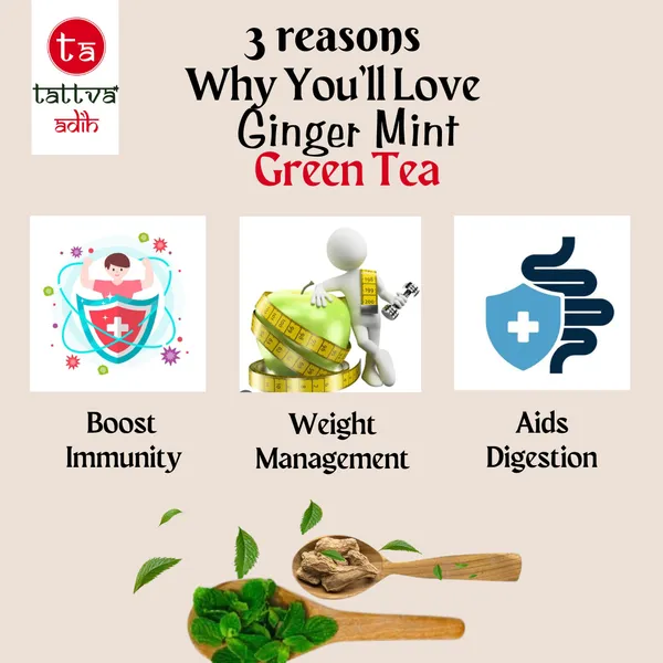 Tattva_Adih_Ginger_Mint_Green_Tea_100G_60+_Cups_|_Aids_Digestion_|_Refreshing_Whole_Green_Tea_&_Natural_Ginger_Mint_(100_Grams_(Airtight_Container))