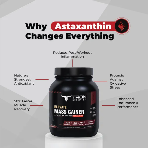 Tron_Elevate_Mass_Gainer_S'Mores_Chocolate_418_Kcal_Powder_2Lb