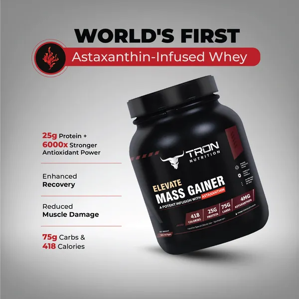 Tron_Elevate_Mass_Gainer_S'Mores_Chocolate_418_Kcal_Powder_2Lb