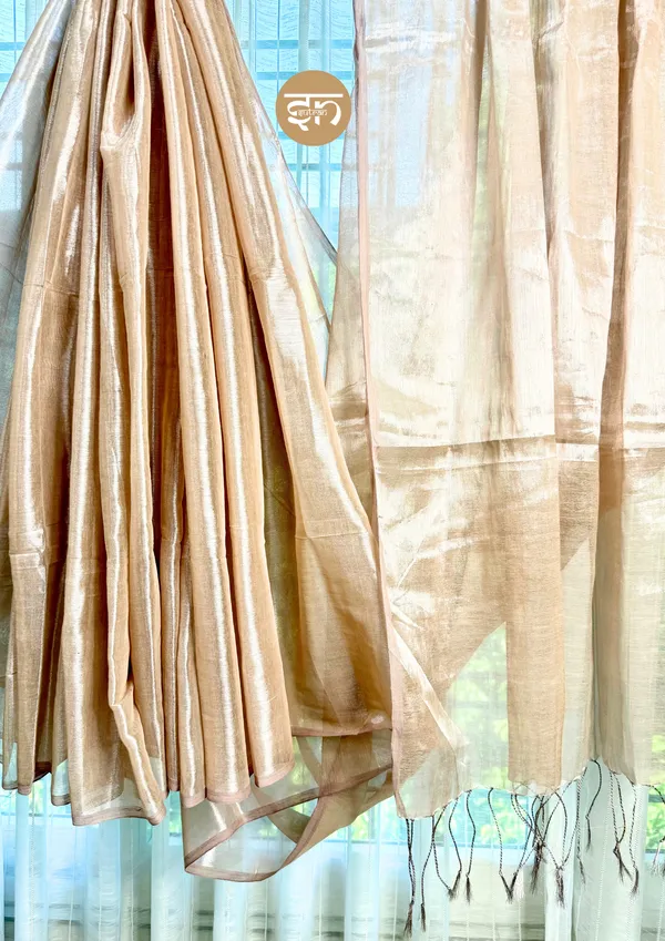 Taradhuli:_Beige_Raga_Tissue_Saree_For_Women
