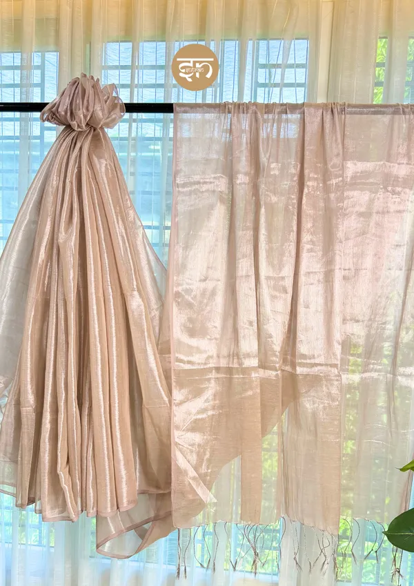 Taradhuli:_Beige_Raga_Tissue_Saree_For_Women