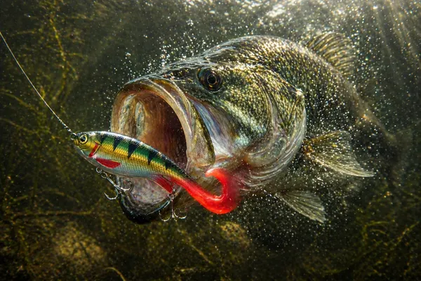 Soft_Swimbait_Fishing_Lure_10Cm_30G_|_Sinking_Artificial_Paddle_Tail_Lure_With_Sharp_Treble_Hooks_|_Realistic_Soft_Bait_For_Bass,_Pike,_Snakehead_&_Freshwater_Fishing