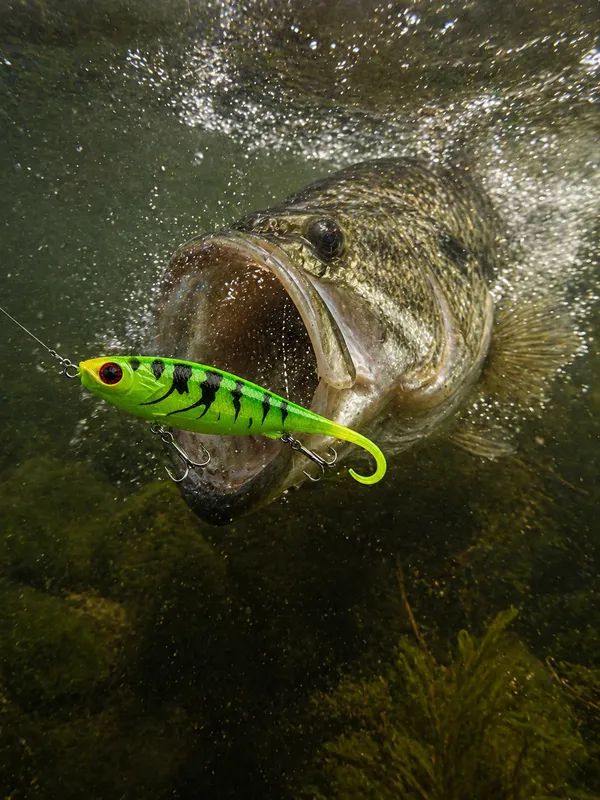 Soft_Swimbait_Fishing_Lure_10Cm_30G_|_Sinking_Artificial_Paddle_Tail_Lure_With_Sharp_Treble_Hooks_|_Realistic_Soft_Bait_For_Bass,_Pike,_Snakehead_&_Freshwater_Fishing