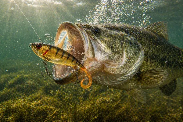Soft_Swimbait_Fishing_Lure_10Cm_30G_|_Sinking_Artificial_Paddle_Tail_Lure_With_Sharp_Treble_Hooks_|_Realistic_Soft_Bait_For_Bass,_Pike,_Snakehead_&_Freshwater_Fishing