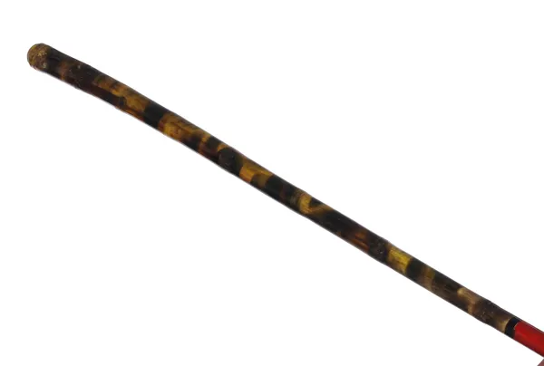 Fiberglass_Hyderabadi_Fishing_Rod_Blue