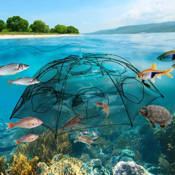 Foldable_Fishing_Net_Trap_Cage_For_Catching_Fish_And_Crabs