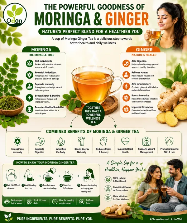 Pack_of_3_Moringa_Ginger_Herbal_Green_Tea_|_25_Tea_Bags_|_Natural_Detox_&_Immunity_Booster_|_Herbal_Stress_Relief_Tea_|_Aromatic_&_Rich_Taste_|_Anti-Inflammatory_&_Digestive_Support
